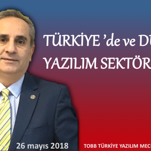 TÜRKİYE’de ve DÜNYADA YAZILIM SEKTÖRÜ